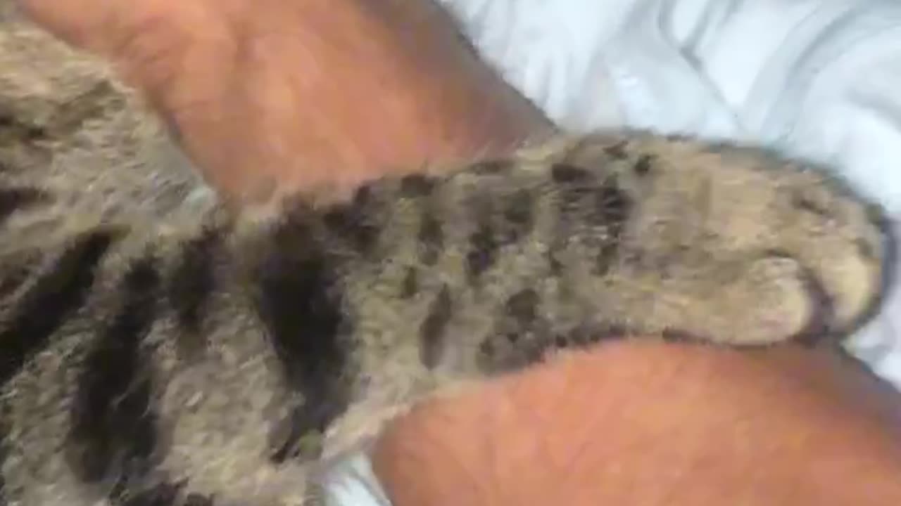 I can't get my hand out