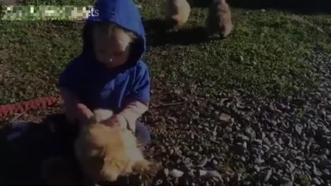 Children's best friends are animals...Funny friendships of children and animals