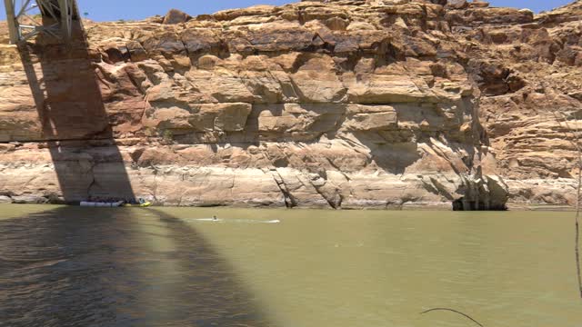 Massive Rope Swing