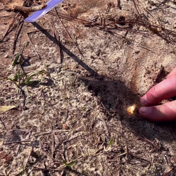 Starting Fire Using the SUN