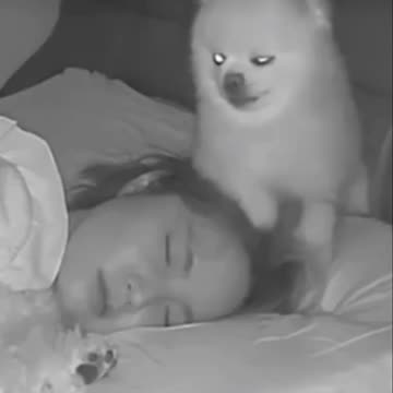 Awesome nighttime protection service