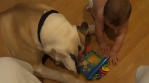 Big Dog Playing With My Baby Watch What Happens