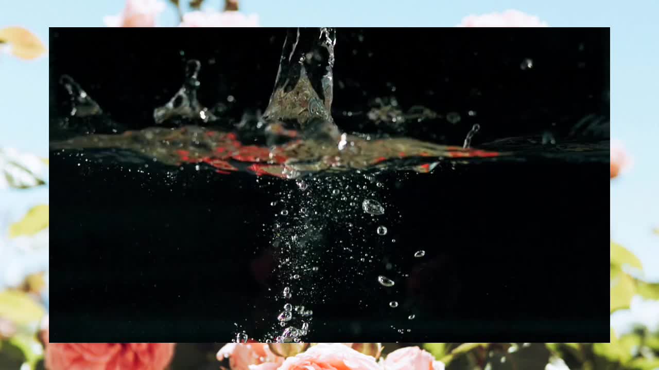 Amazing video l loved