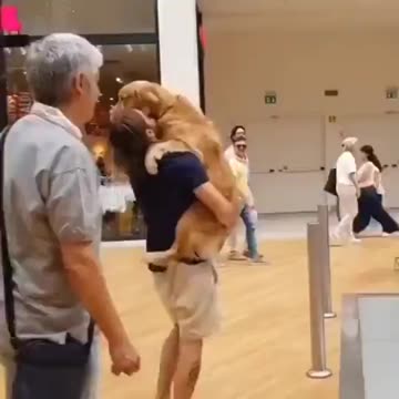 Man Helps Scared Dog