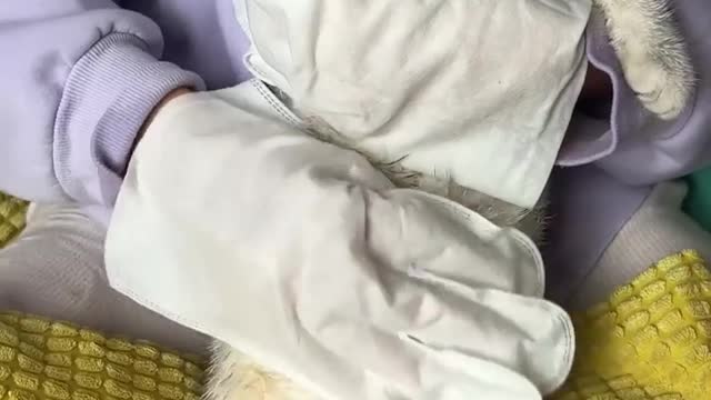 Cute Washing Video|Hindi|English