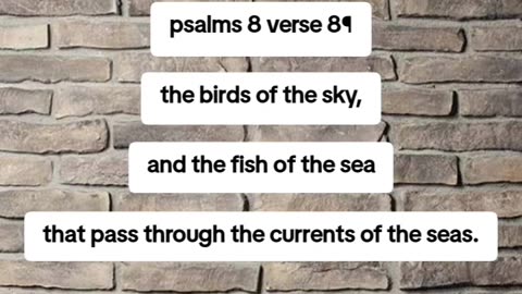 Psalms 8 verse 8