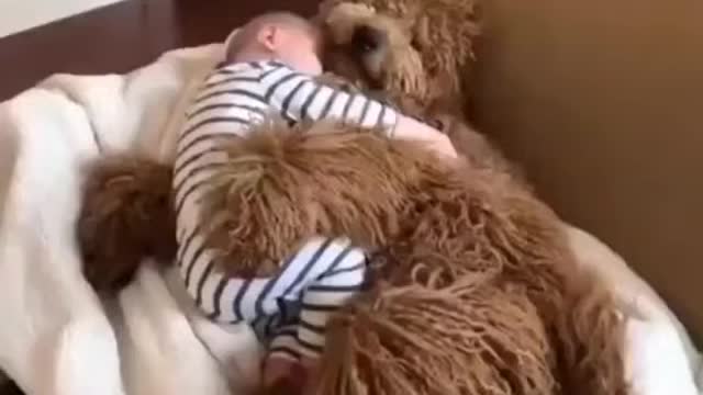 Baby and Dog having a cuddle session