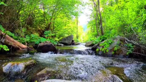 Relaxing Music | Sleeping, Meditation, Stress Relief | [6035] ⭐️