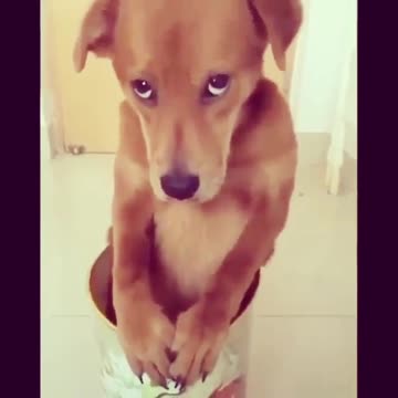 The face says it all.