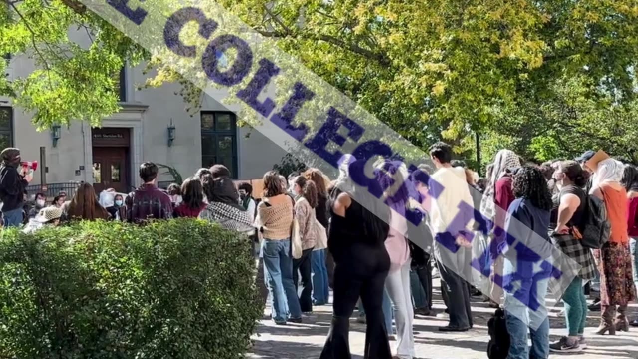 Northwestern University students call for 'free Palestine'