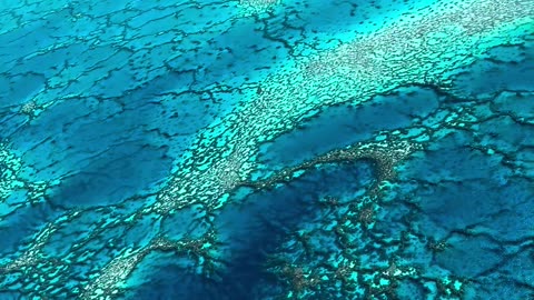 Lagon de Poe is a lagoon on the Grand Land of New Caledonia.