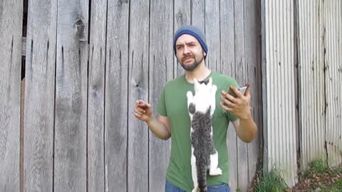 Determined cat climbs up owner