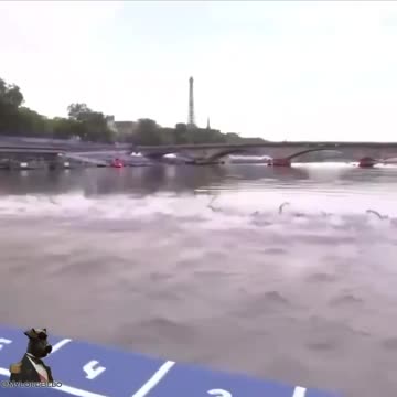Olympic swimmer vomit after having to compete in a disgusting river 🤮