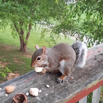 Fphill and banana 🍌