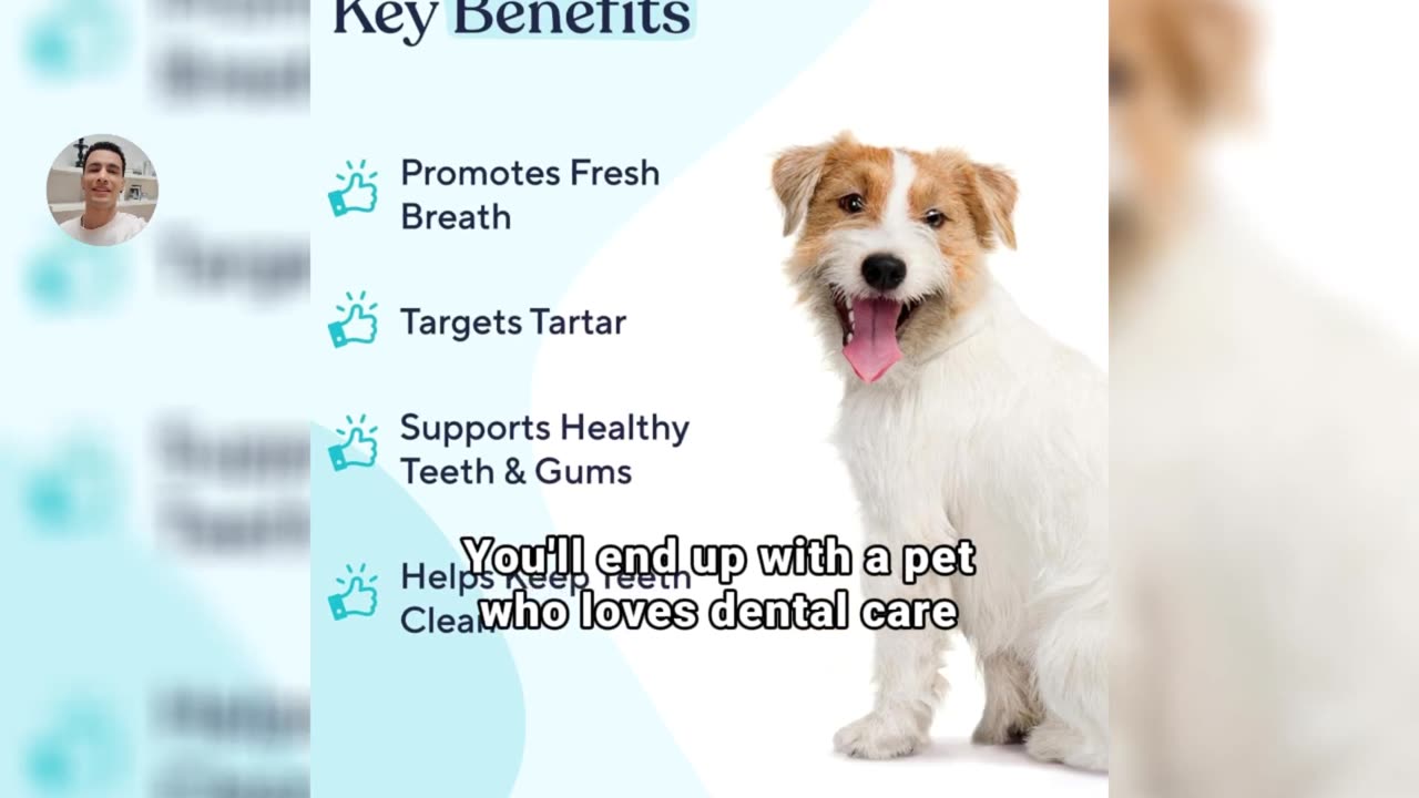 Pawfy Dental Wash