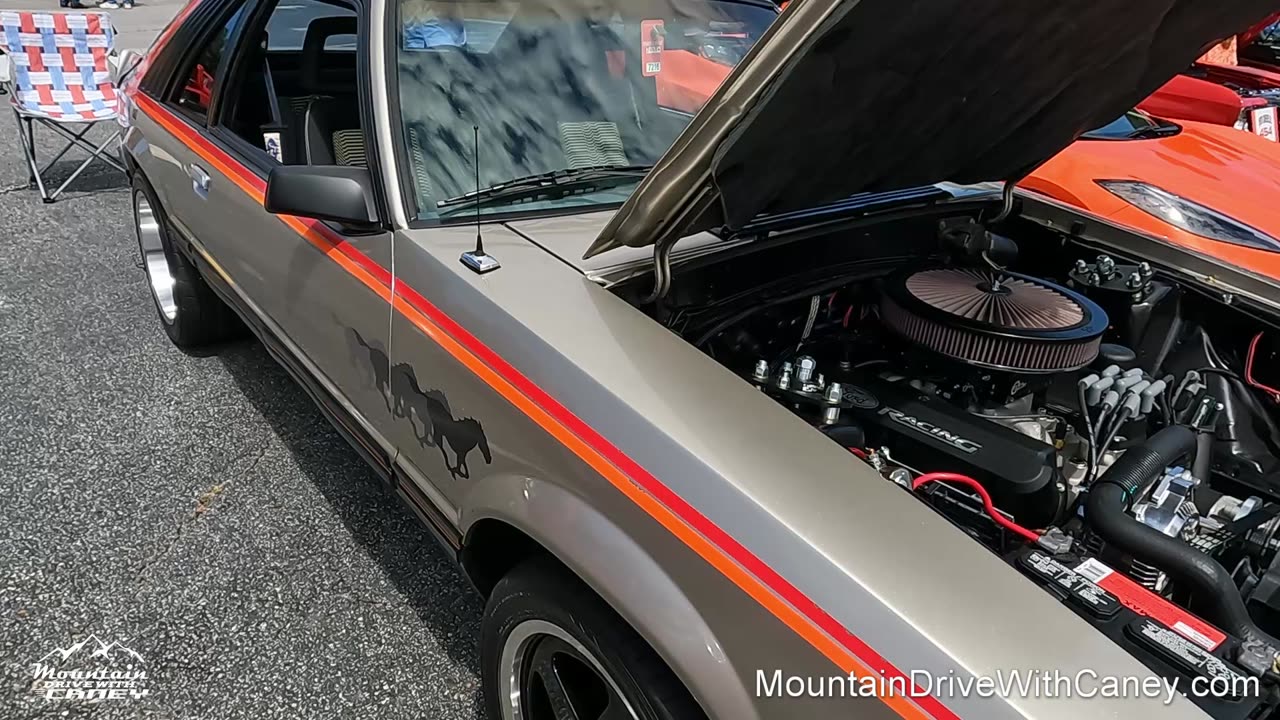 1979 Ford Mustang Indy Pace Car Edition