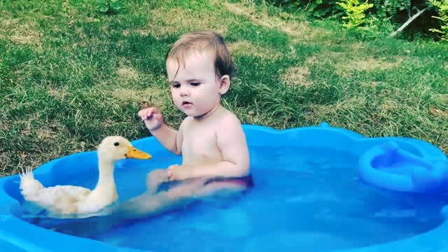 Funny baby vs duck