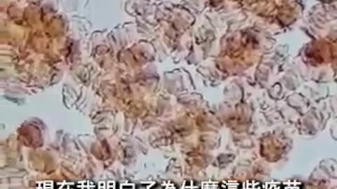 “一定要竭盡所能的維護己身權益！！！”來自“自然醫學”醫師的強烈警告