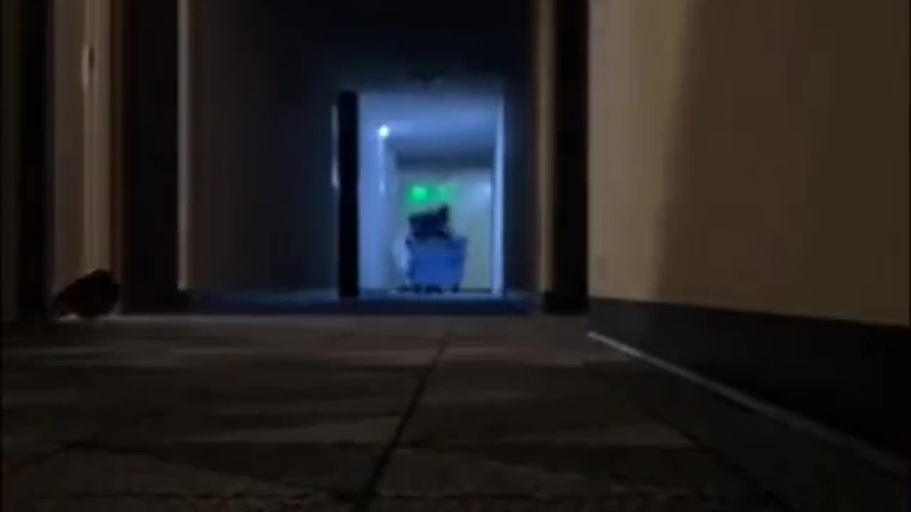 Try not to laugh challenge 🤣