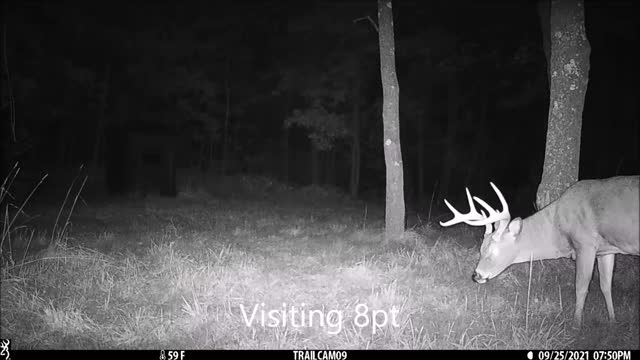 Visits to mock scrape