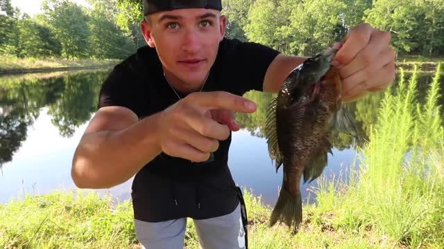 Fishing With GIANT Livebait WORMS (WALMART)