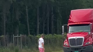 My husband directs traffic around a LARGE GATOR in GEORGIA!