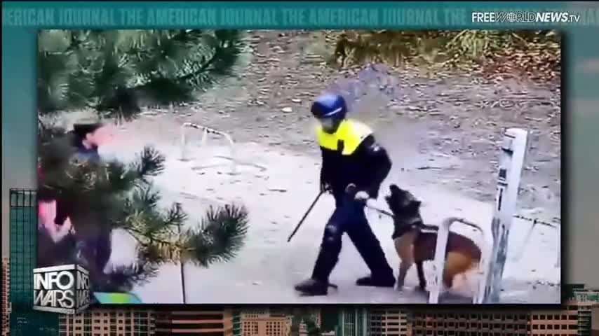 K9 Dog Attacked His Own Handler for Being the Aggresor