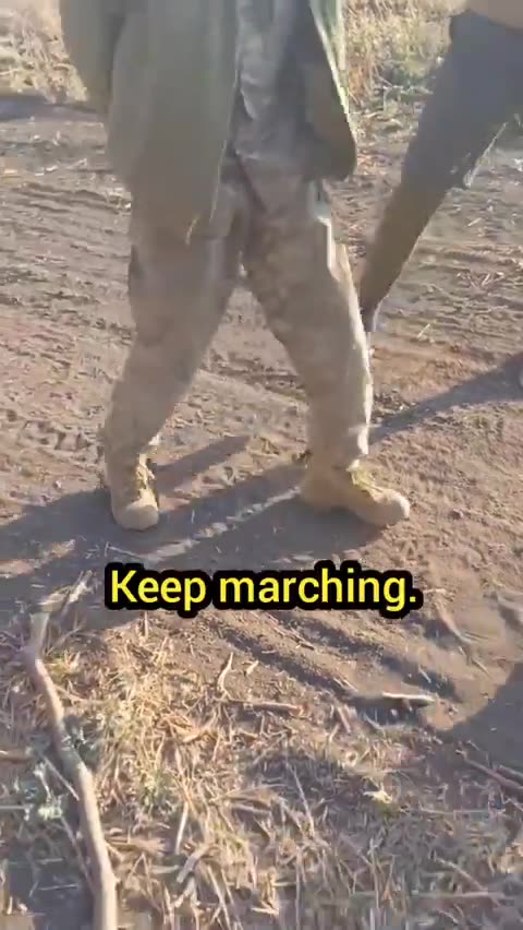 They Asked Are You a Hohol?