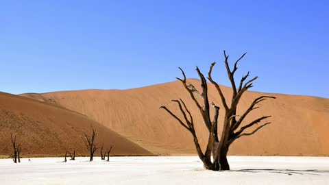 Tradition in a Grain of Sand