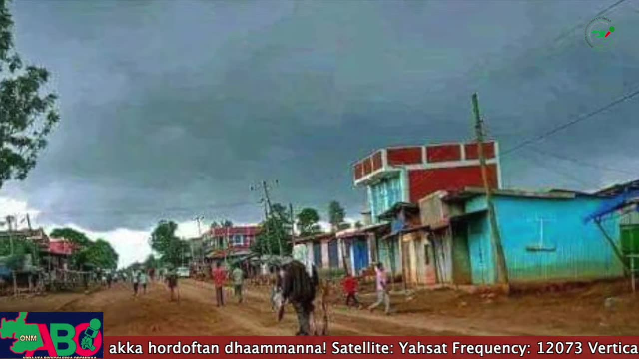 Oduu Waaree ONM-ABO Adoolessa 18-2024 itti dhiyaadhaa!