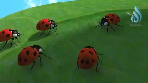 Team work in insect kingdom|| Animated insect's