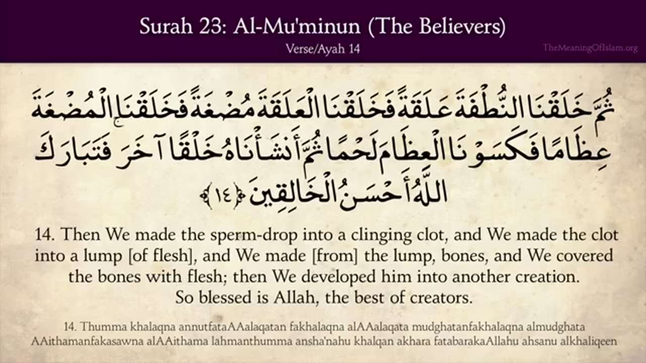 Quran: 23. Surah Al-Mu'minun (The Believers): Arabic and English translation 23 / 114