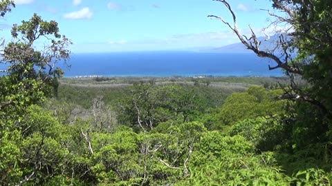 Lahaina, HI — Mahana Ridge Trail #2