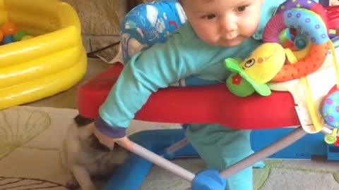 Cute baby and funny dog videos