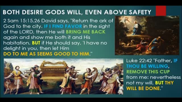 Prophecies of Christ in the Life of David by Chris Hall