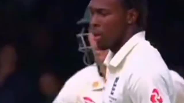 fans-video cricket lovers-video #cricket #cricketlover