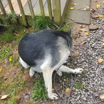 Hell to the no no ooo no no