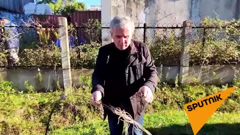 Темур Кация