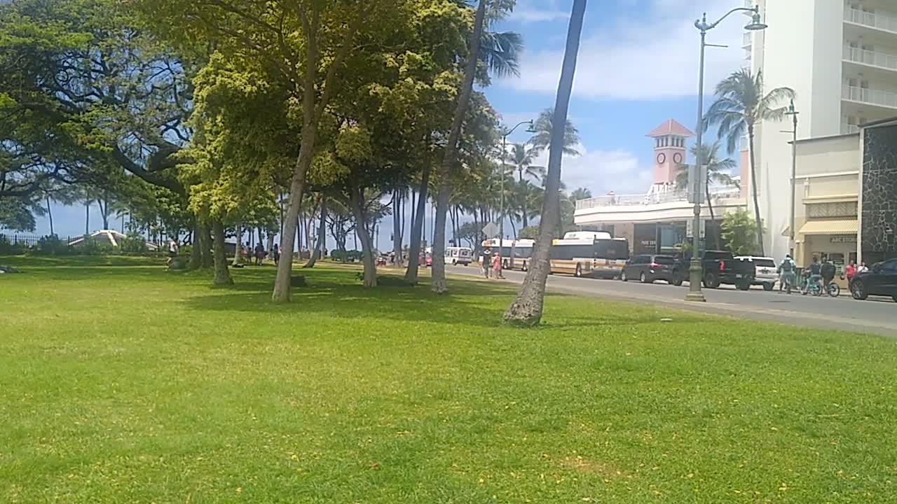 Waikiki open park, 2021