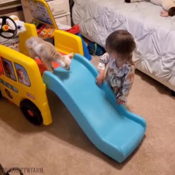 Kid teaching kid how to slide...👶🛝🐐😍