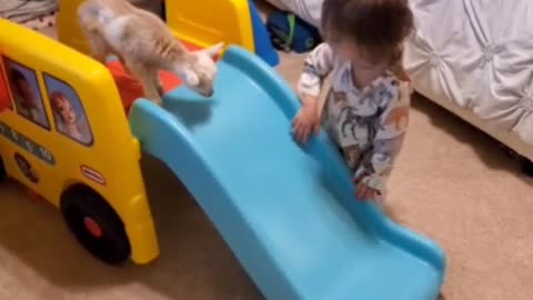 Kid teaching kid how to slide...👶🛝🐐😍