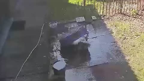Fails of the week