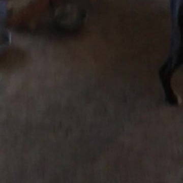 Biological dad meet biological daughter.