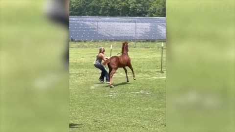 Animals funny video 😂🤣