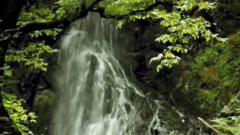 Awesome Natural Waterfall