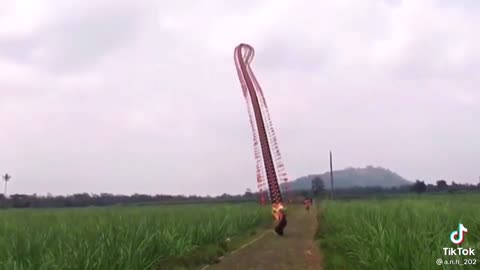 flying dragon kites, super big kites, vietnam kites