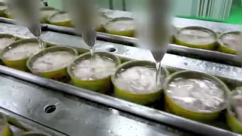 The Secret Behind European Fishermen’s Multi-Million Dollar Bluefin Tuna Catch!