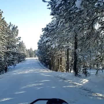 Montana's cold this year!