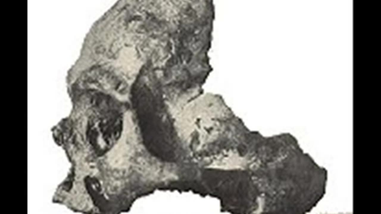 The Case of the Calaveras Skull