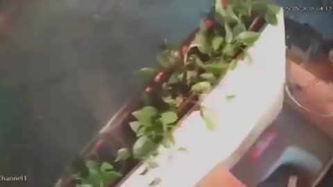 Ukrainian factory making engines completely destroyed